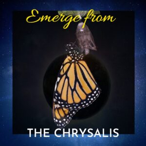 Emerge from the chrysalis